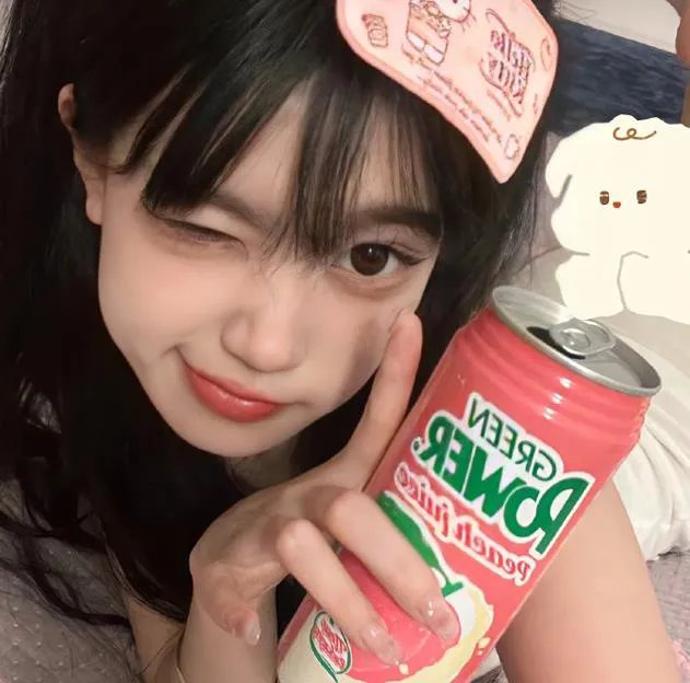 碎片之家封面