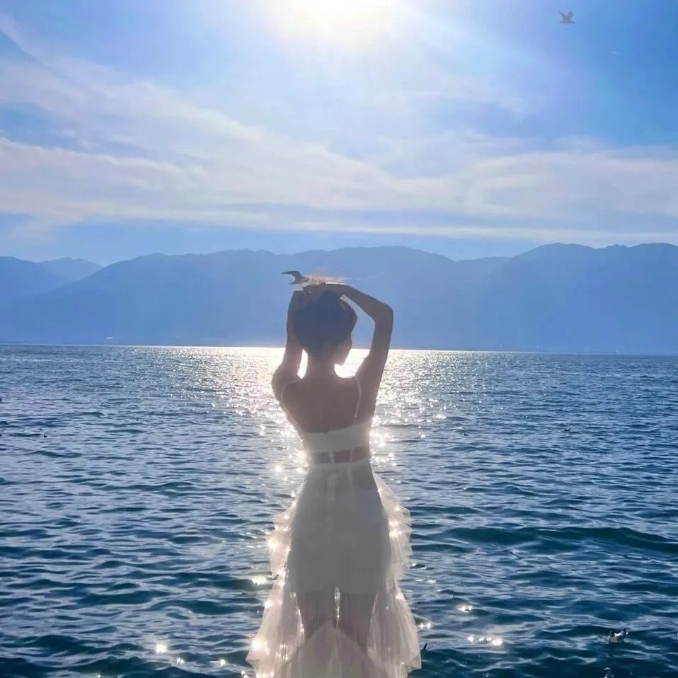 星途叵测2封面